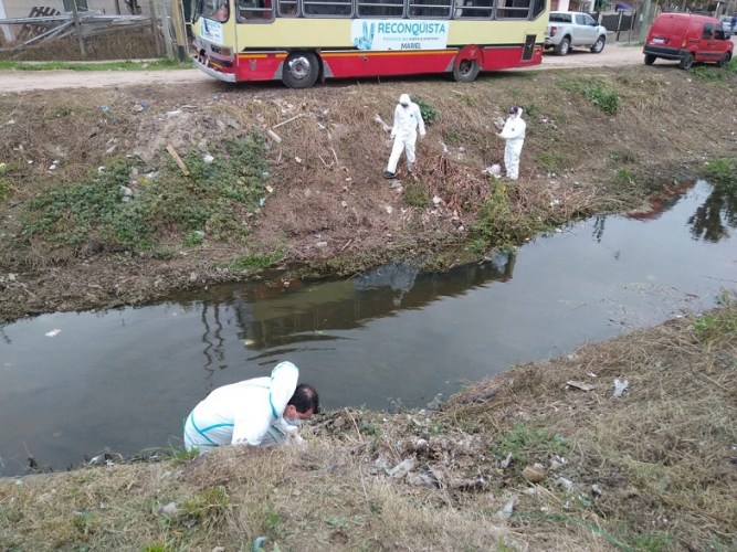 Limpieza Y Mantenimiento En Metros De Arroyos Y Canales Provincia